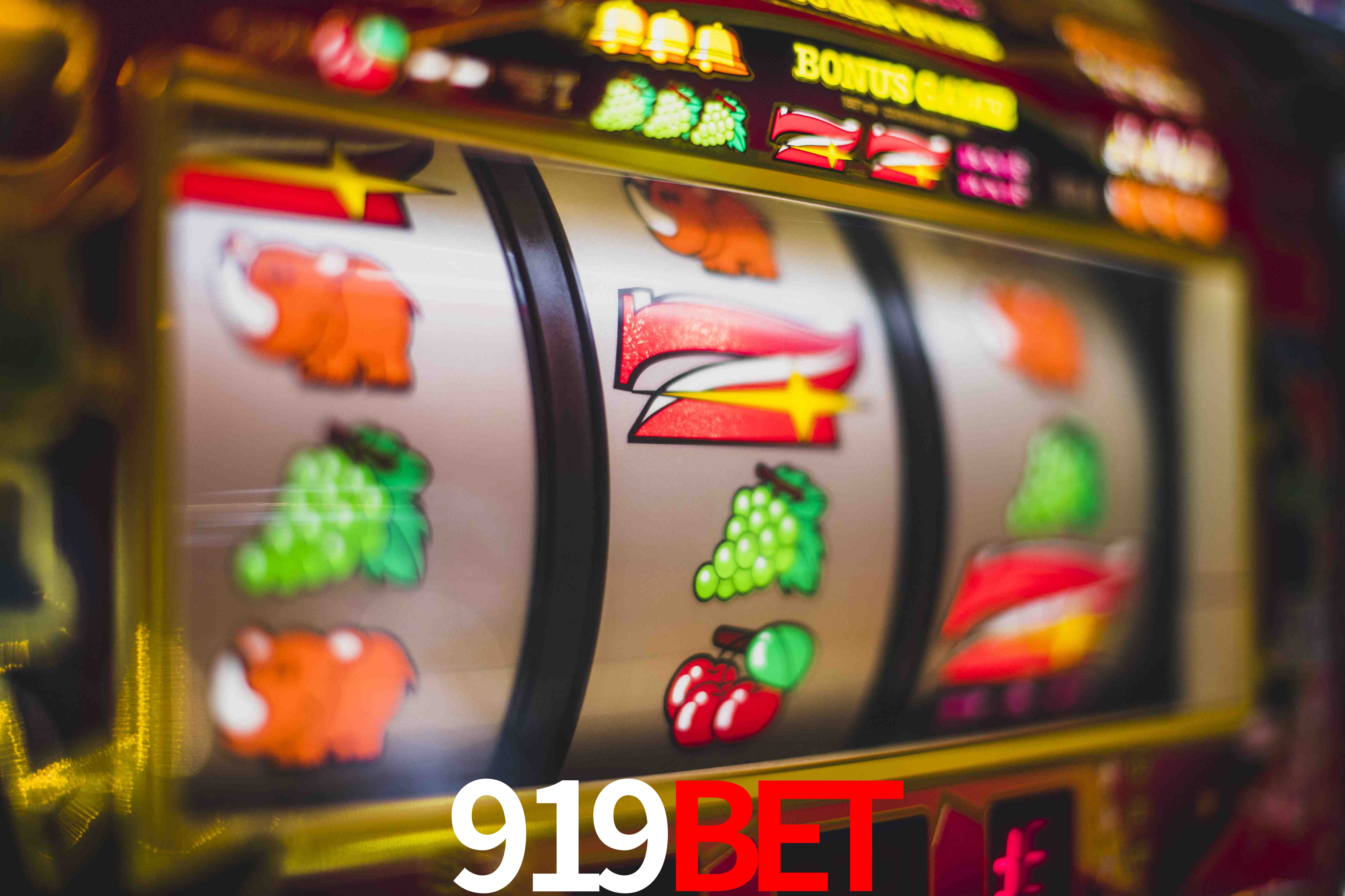 Statistics 919bet